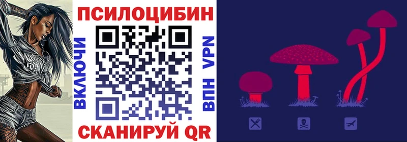 Галлюциногенные грибы Magic Shrooms  Таганрог 